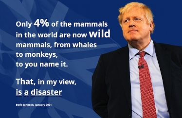 boris johnson